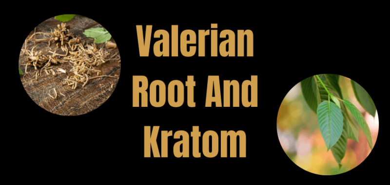 Valerian Root vs. Kratom